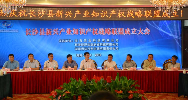 918博天堂光電當選長沙縣新興產(chǎn)業(yè)知識產(chǎn)權戰(zhàn)略聯(lián)盟常務理事單位