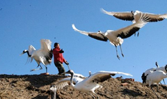 沉浸式互動拍照系統(tǒng)