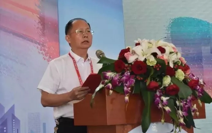 湖南省委宣傳部副部長楊金鳶主持開幕式