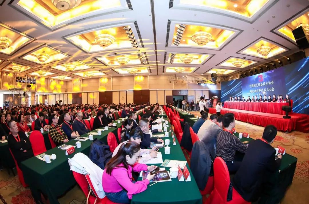 乘風文旅大勢 湘聚演藝盛典丨中國演藝設備技術協(xié)會湖南省辦事處成立！ 