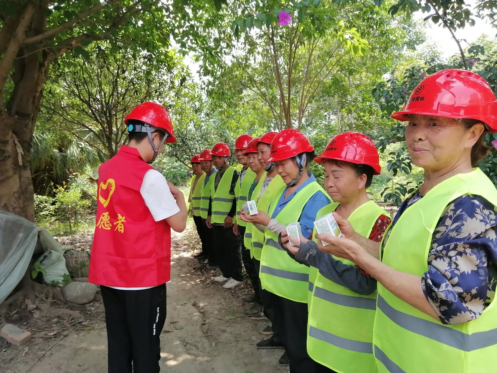 1718778105779654.jpg 園林4.jpg