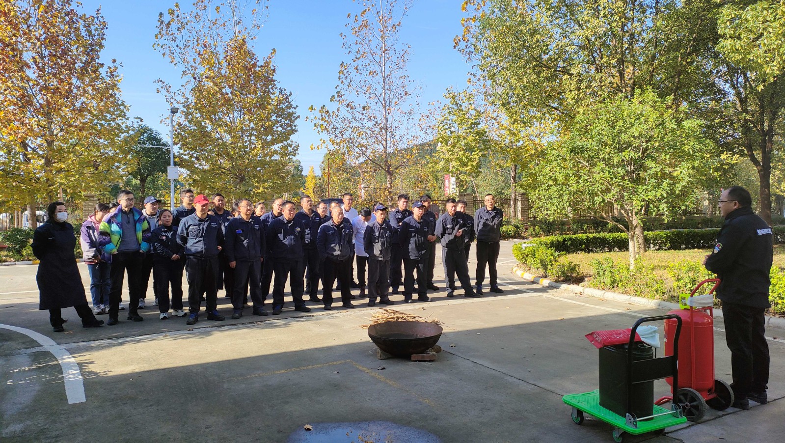 1732757128224604.jpg 333.jpg