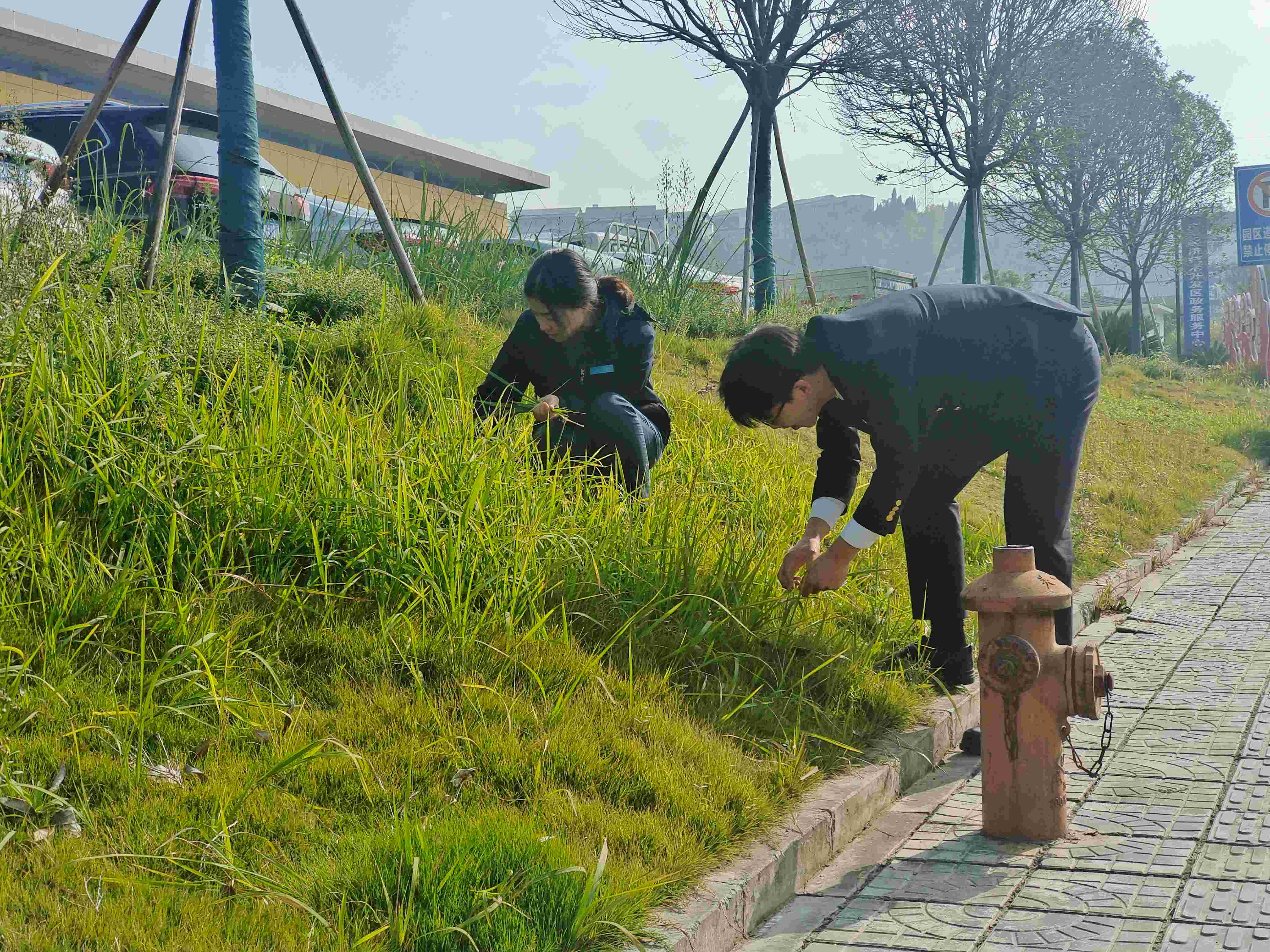 1732760587829617.jpg 圖片2.jpg